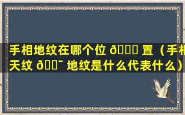 手相地纹在哪个位 🐒 置（手相天纹 🐯 地纹是什么代表什么）